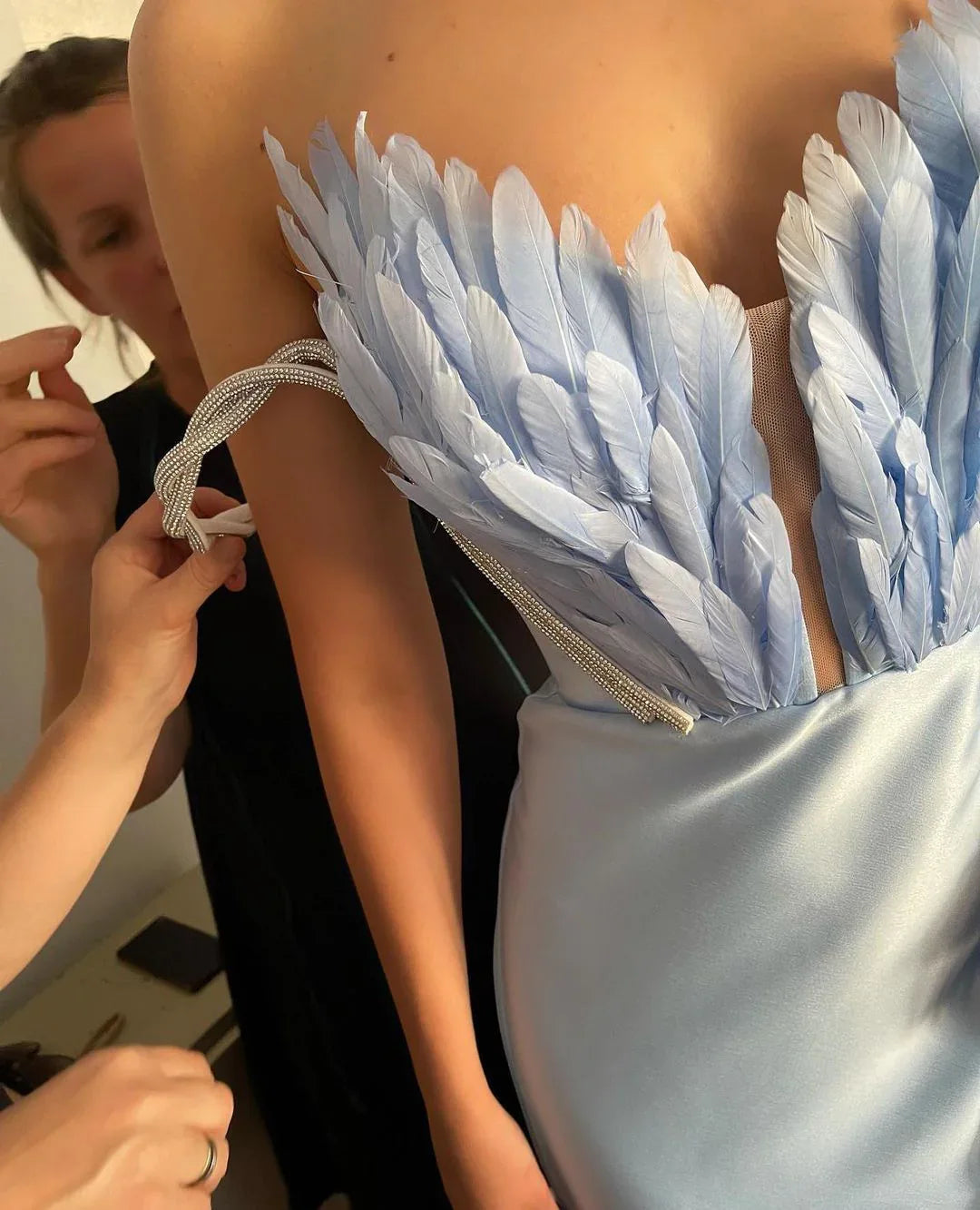 A Dress With Feathers Sweeping The Floor - Gizmo Galaxy
