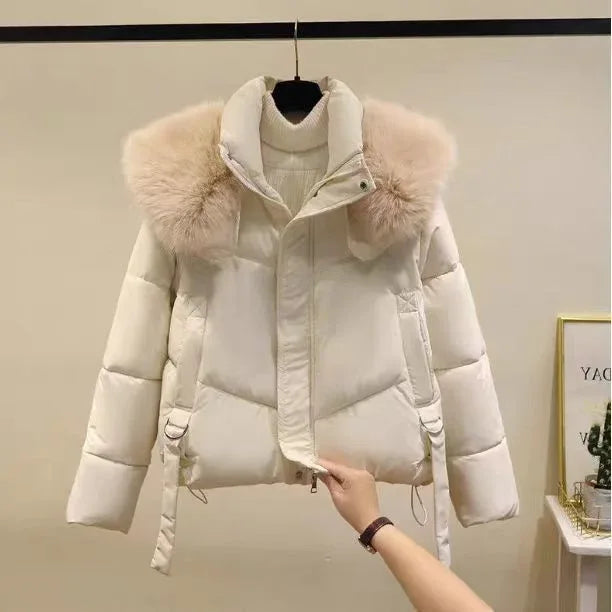 Winter Black Cotton-padded Clothes Coat For Women - Gizmo Galaxy