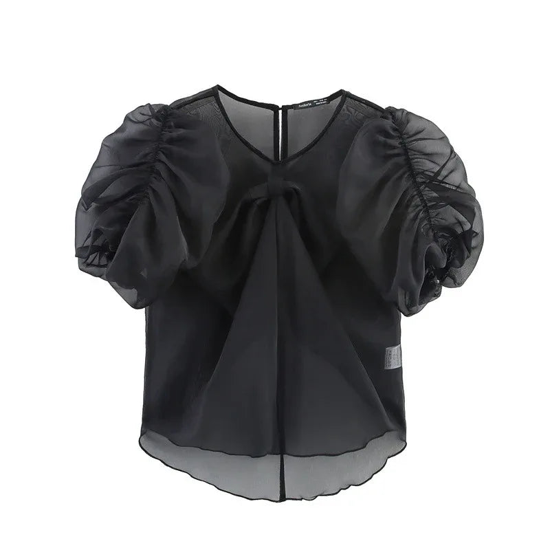 Niche Design Bow Decoration Puff Sleeve Top - Gizmo Galaxy