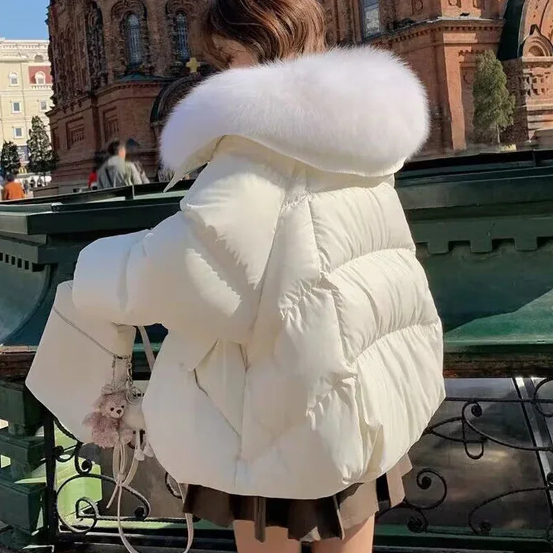 Down Cotton-padded Jacket Women's Short Fur Collar Thickened Coat Winter Clothing - Gizmo Galaxy
