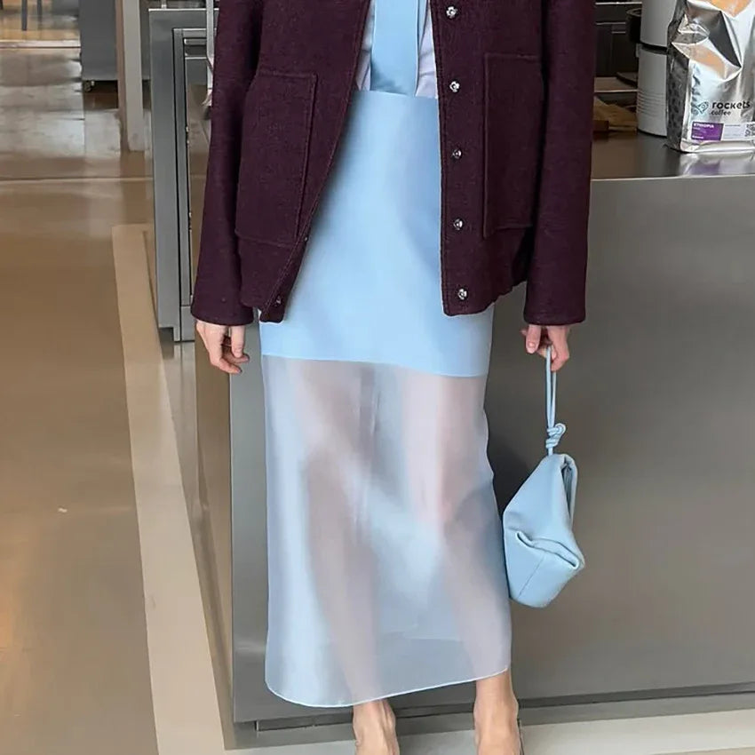 Designer-style Sheer High-waist Skirt For Women - Gizmo Galaxy