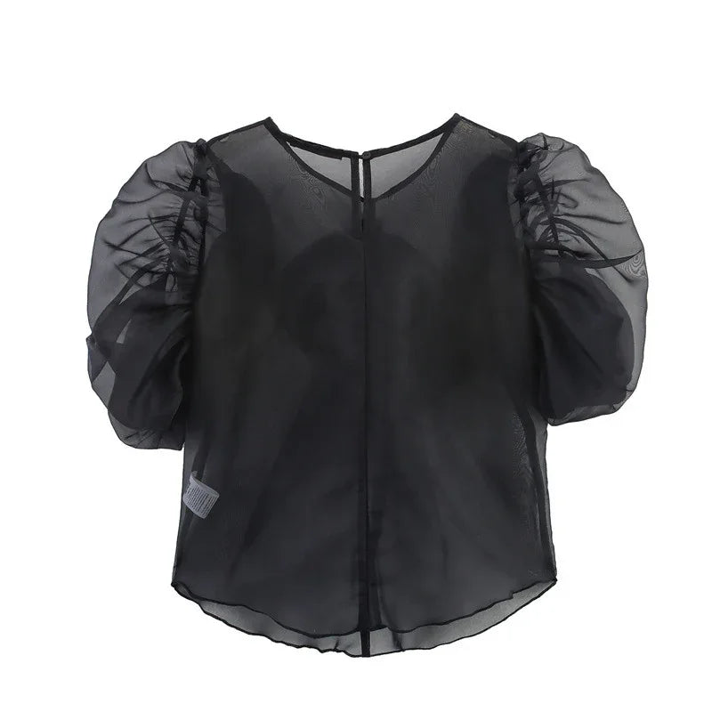 Niche Design Bow Decoration Puff Sleeve Top - Gizmo Galaxy