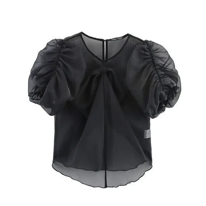 Niche Design Bow Decoration Puff Sleeve Top - Gizmo Galaxy